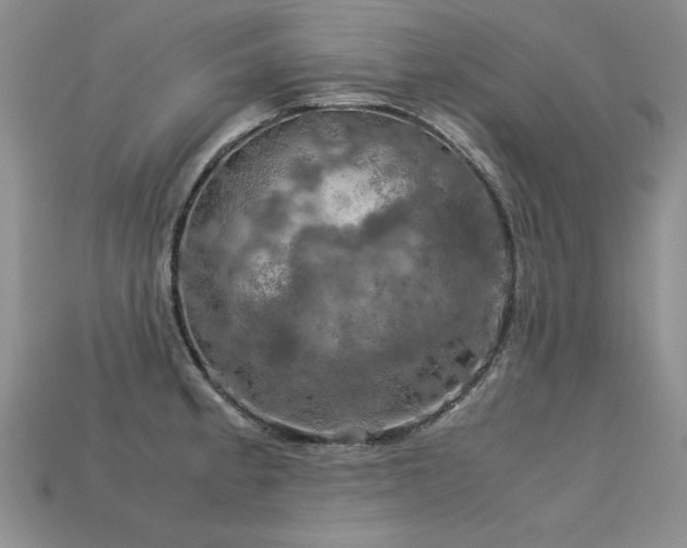 X0000113601189200909181345