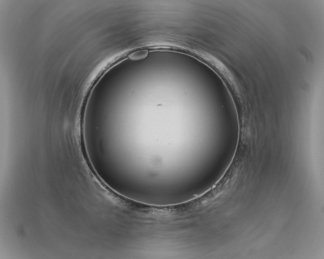 X0000113601191200909181345