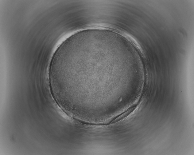 X0000113601192200909181345