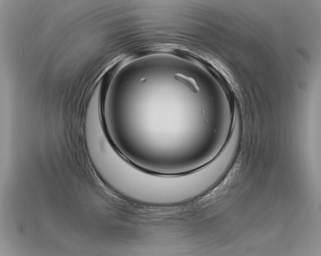 X0000113601193200909181345