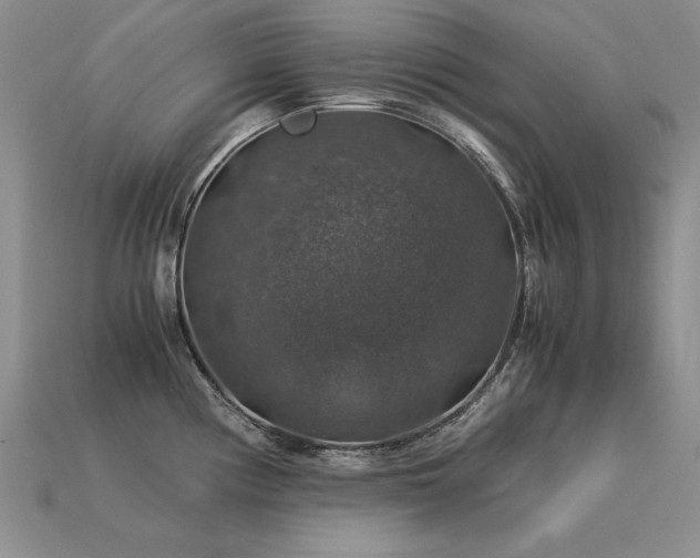 X0000113601194200909181345