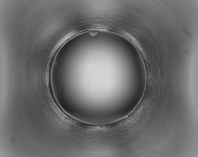 X0000113601195200909181345