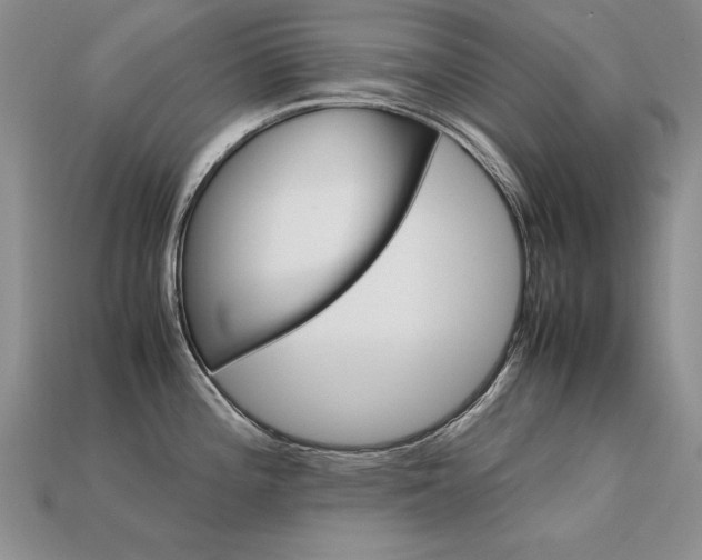 X0000113601196200909181345