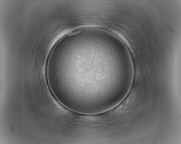 X0000113601197200909181345