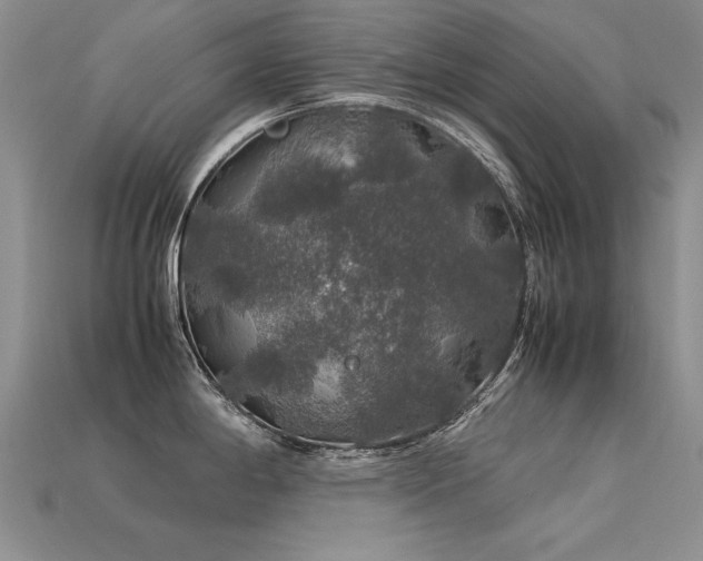 X0000113601198200909181345