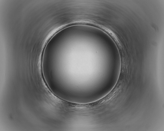 X0000113601199200909181345