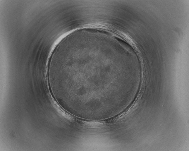 X0000113601200200909181345