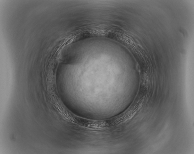 X0000113601201200909181345