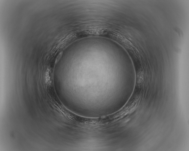 X0000113601202200909181345