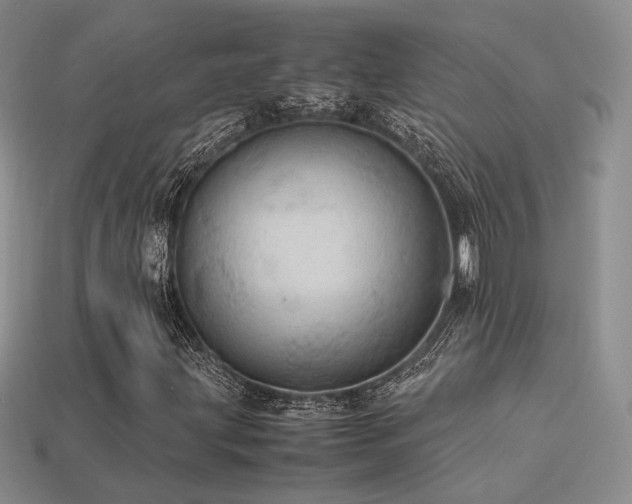 X0000113601203200909181345