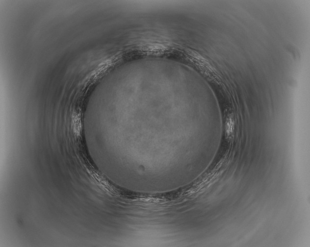 X0000113601204200909181345