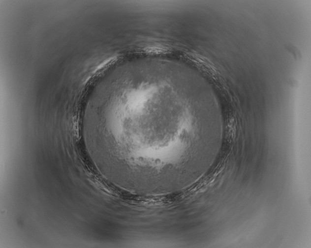 X0000113601205200909181345