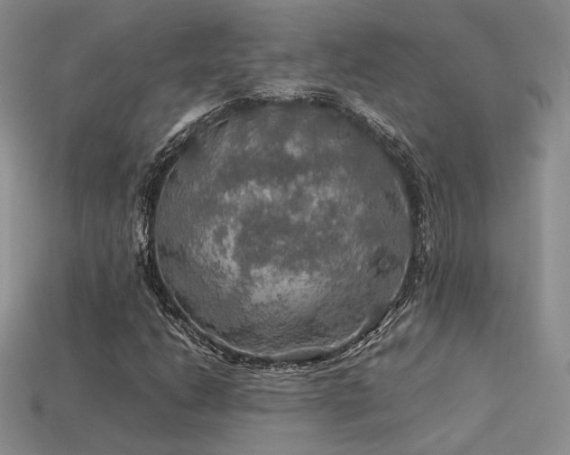 X0000113601206200909181345