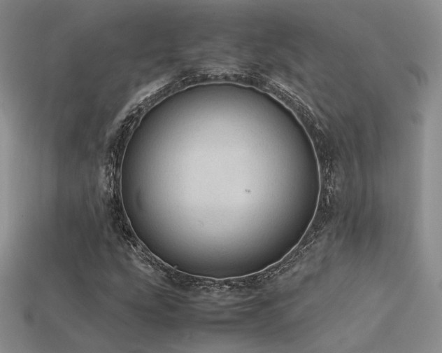 X0000113601207200909181345