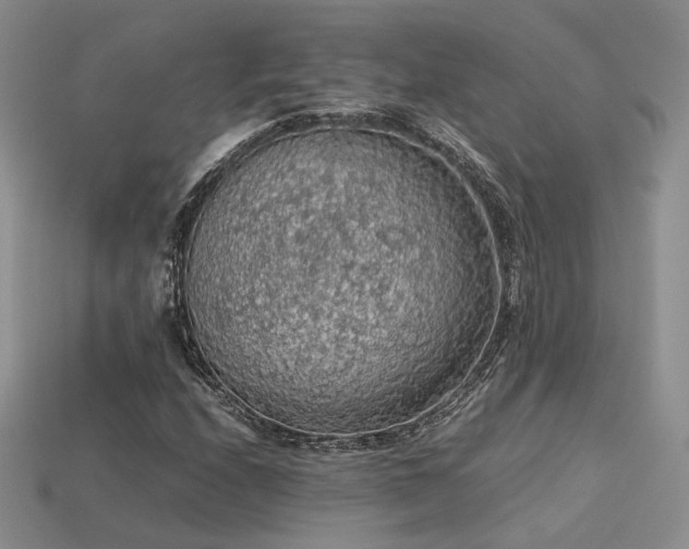 X0000113601208200909181345