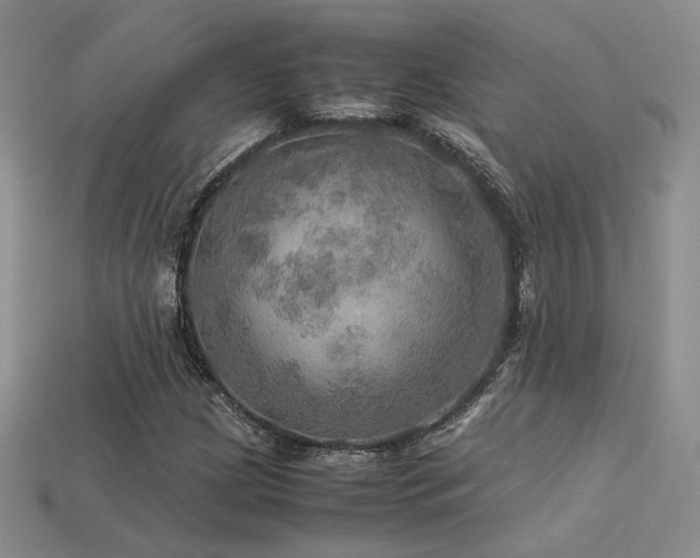 X0000113601209200909181345