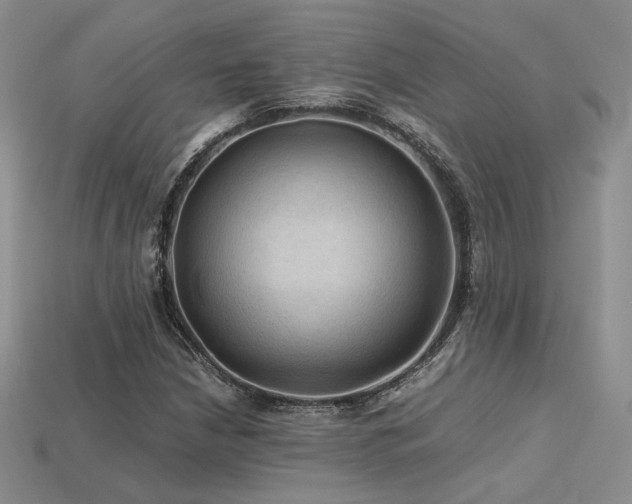 X0000113601210200909181345