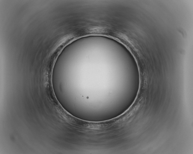 X0000113601211200909181345