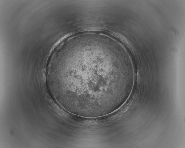 X0000113601212200909181345