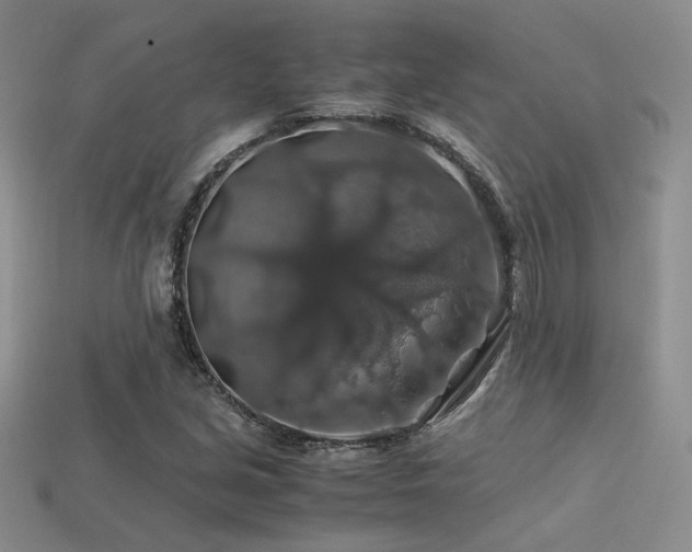 X0000113601213200909181345