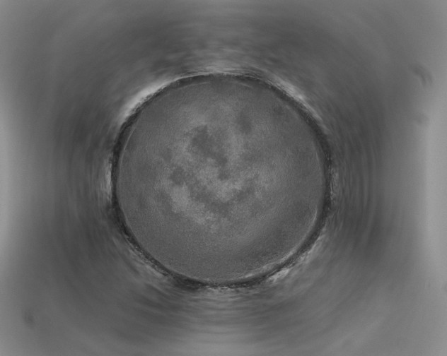 X0000113601214200909181345