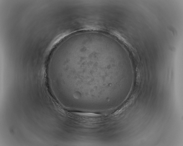 X0000113601215200909181345