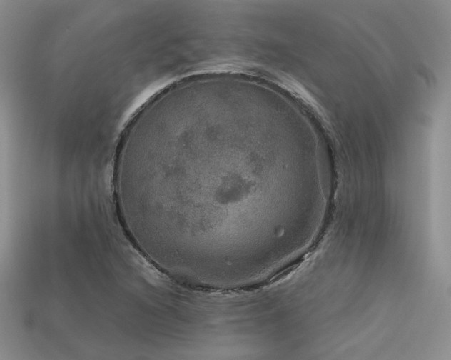 X0000113601216200909181345