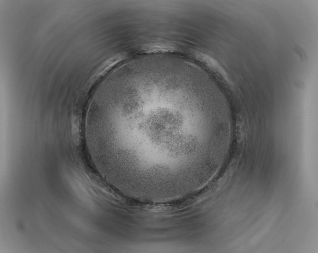 X0000113601217200909181345