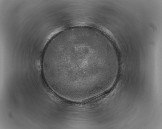 X0000113601218200909181345