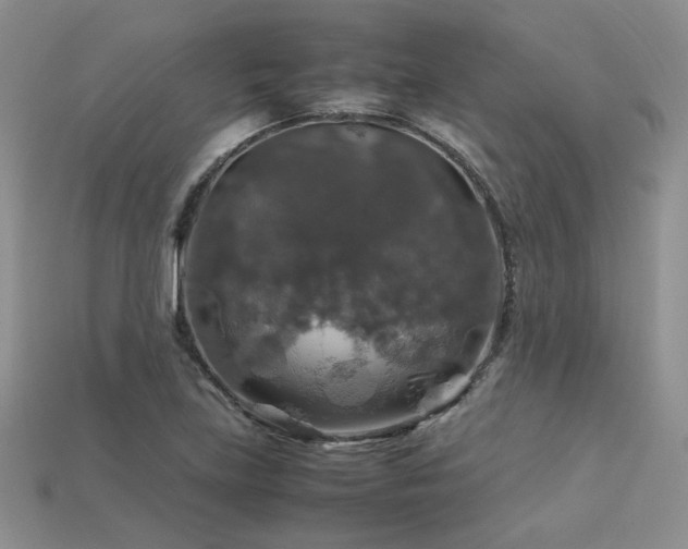 X0000113601219200909181345