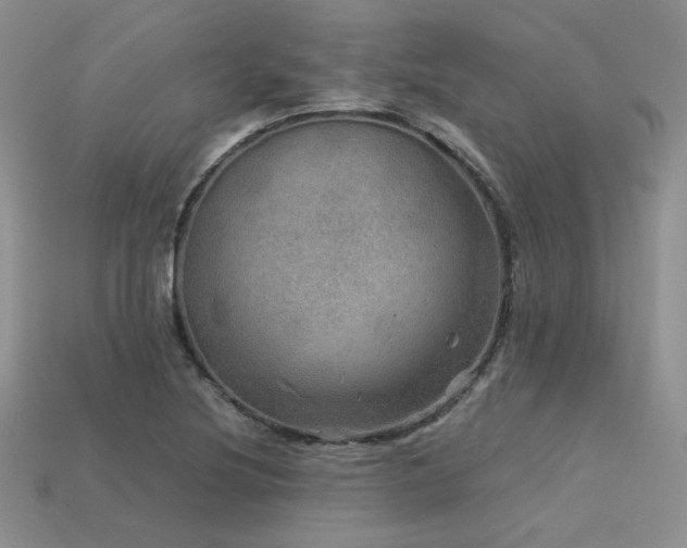 X0000113601220200909181345