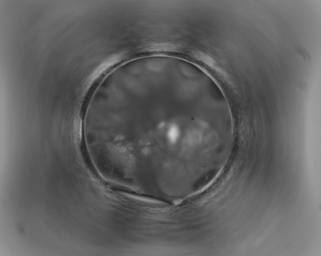 X0000113601221200909181345