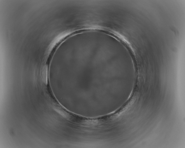 X0000113601223200909181345