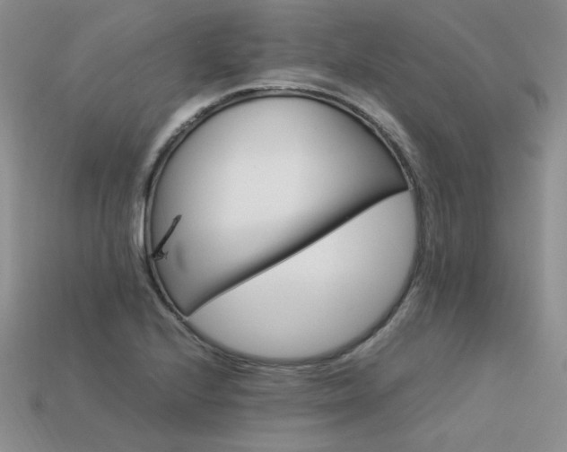 X0000113601224200909181345