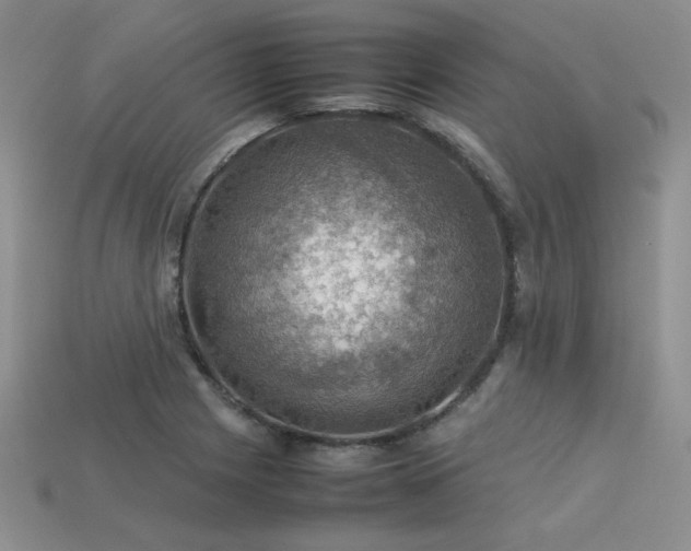 X0000113601225200909181345