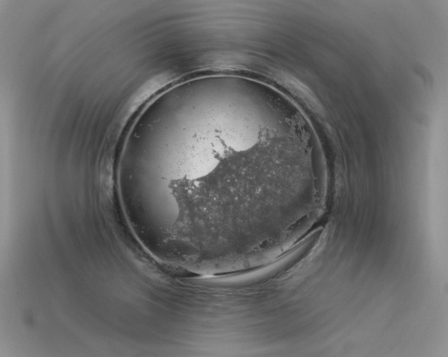 X0000113601226200909181345