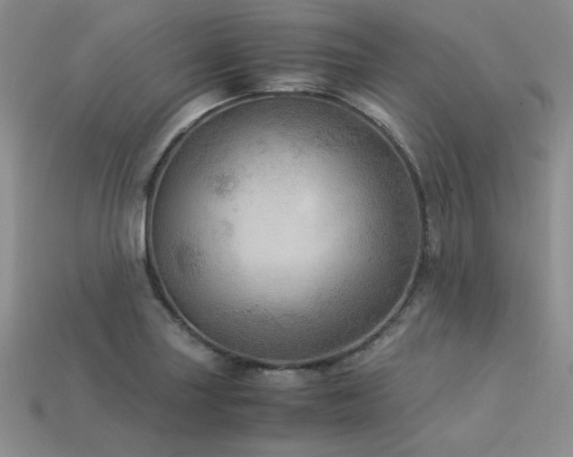 X0000113601227200909181345