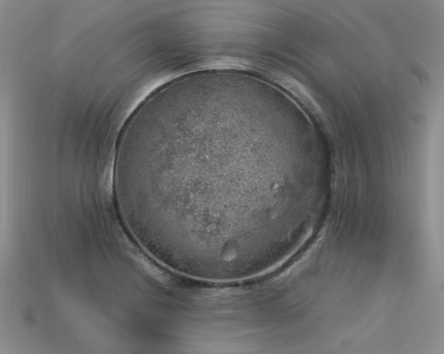 X0000113601228200909181345