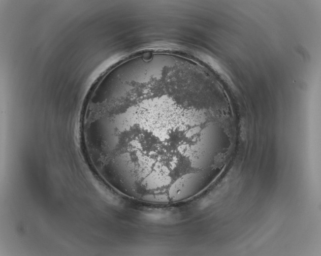 X0000113601229200909181345