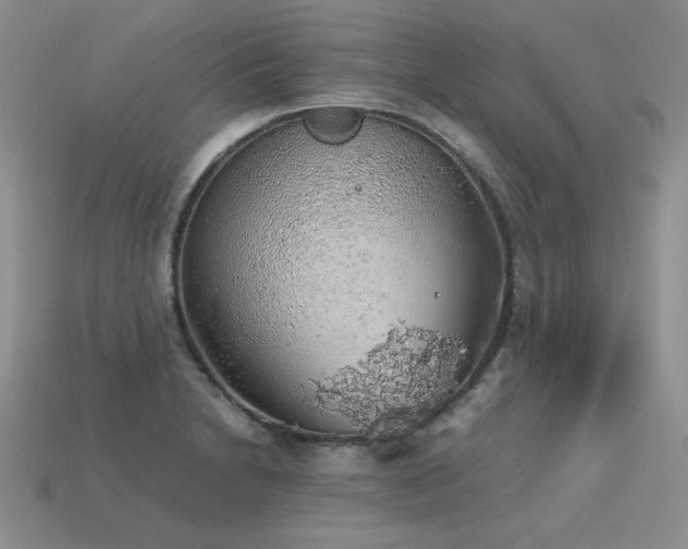 X0000113601230200909181345