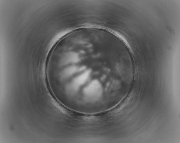 X0000113601231200909181345