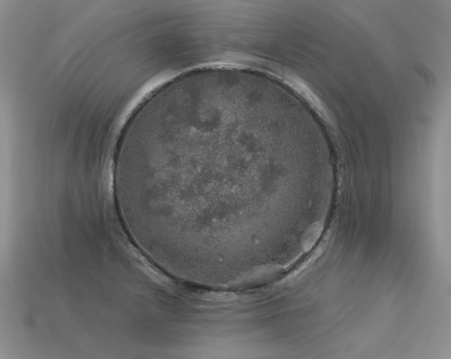 X0000113601232200909181345