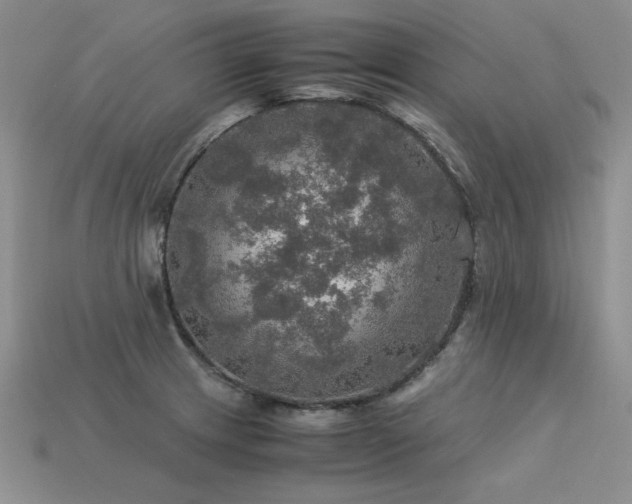 X0000113601233200909181345