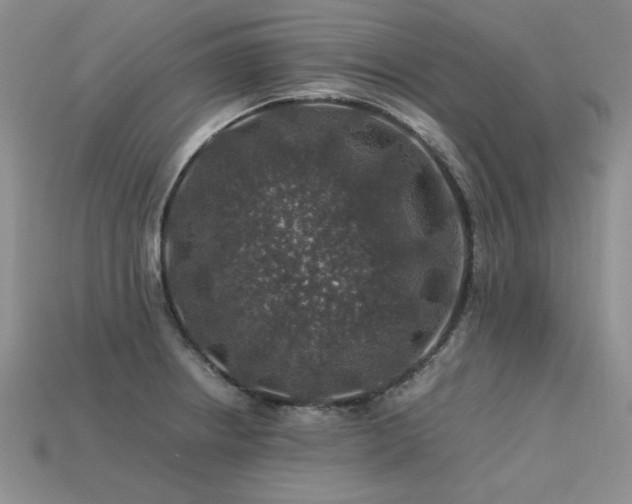 X0000113601234200909181345