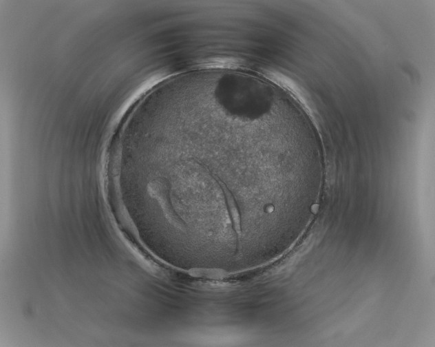 X0000113601235200909181345