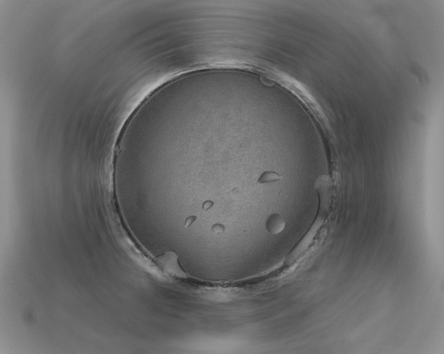 X0000113601236200909181345