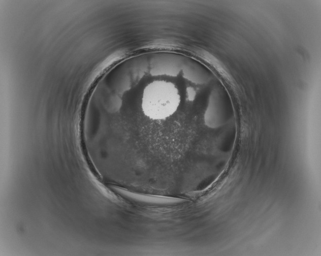 X0000113601237200909181345