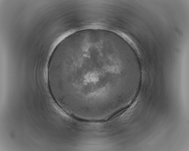 X0000113601238200909181345