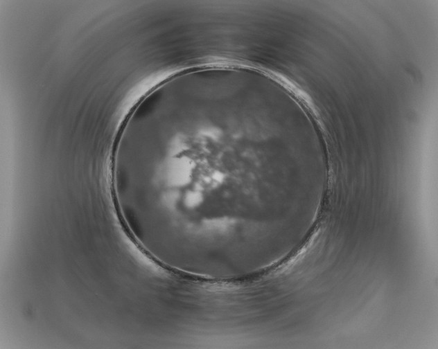 X0000113601239200909181345