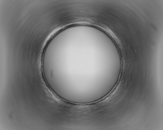 X0000113601240200909181345